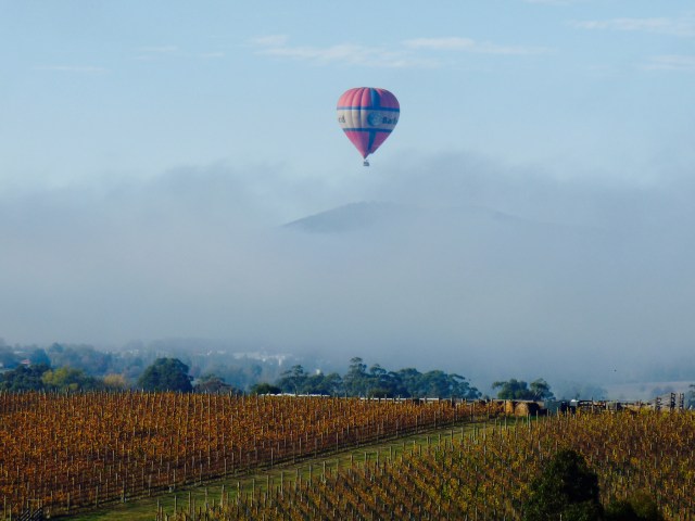 Balloon over Yarra Valley